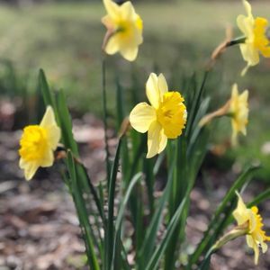 Meet your Posher, Ana-marie